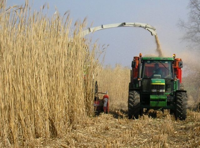 Pourquoi la biomasse ?