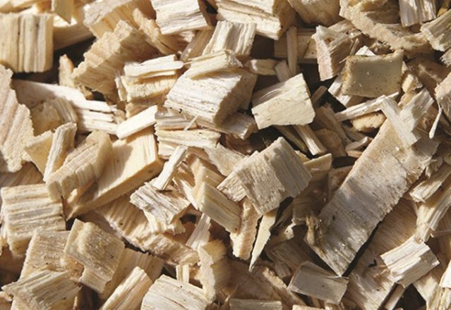 Pourquoi la biomasse ?